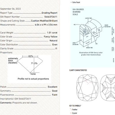 Collier de déclaration