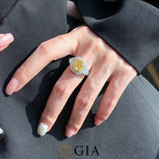 Double Halo & Side Diamonds Ring