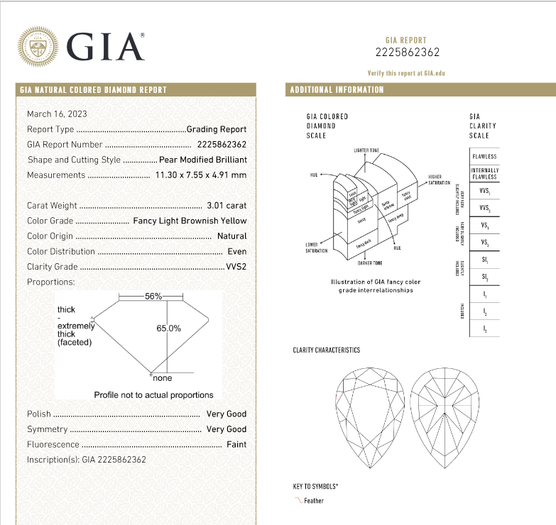 Diamond Earrings GIA Certified