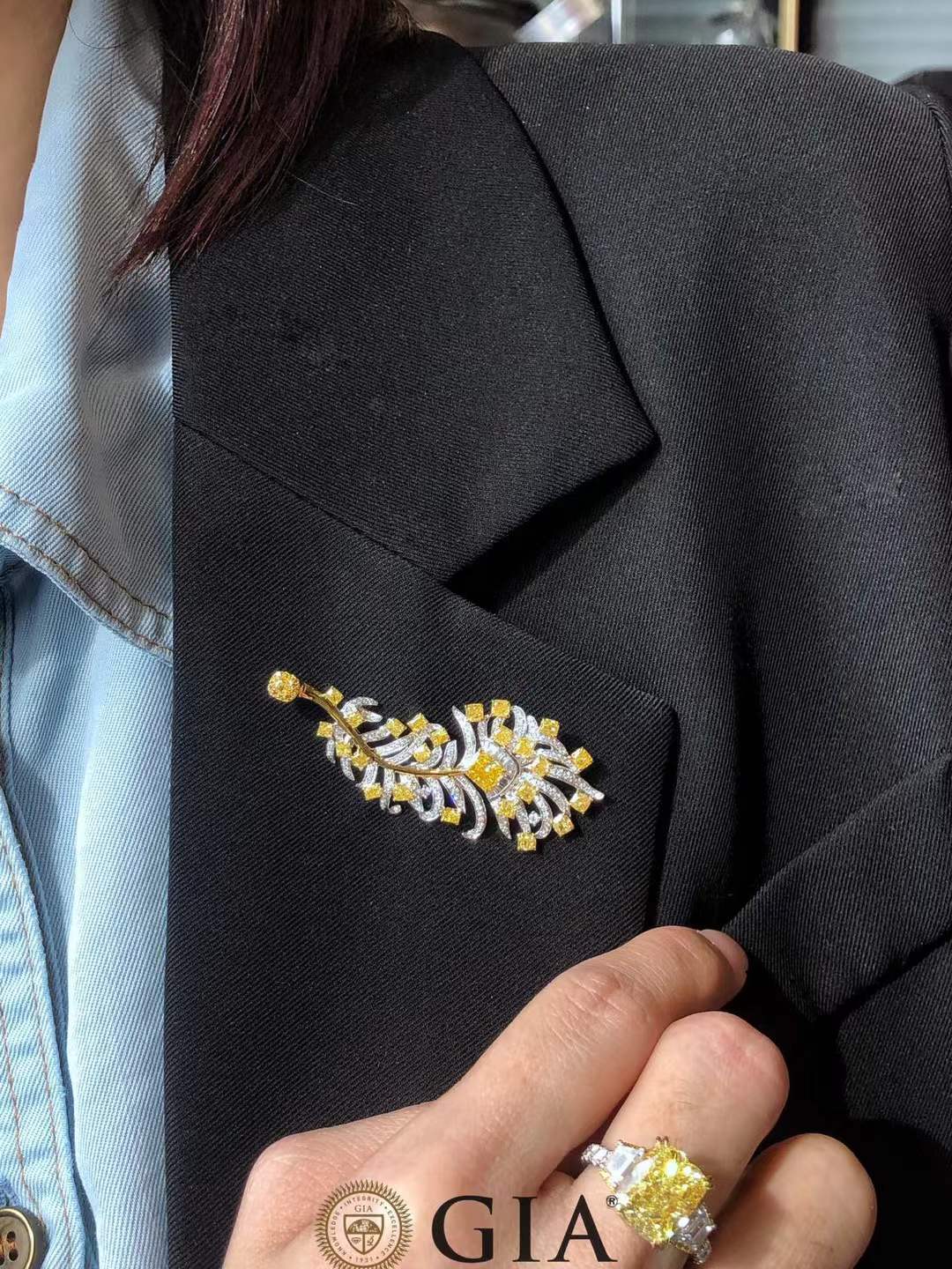 Broche en plumes de diamant blanche et jaune - Haute Joaillerie